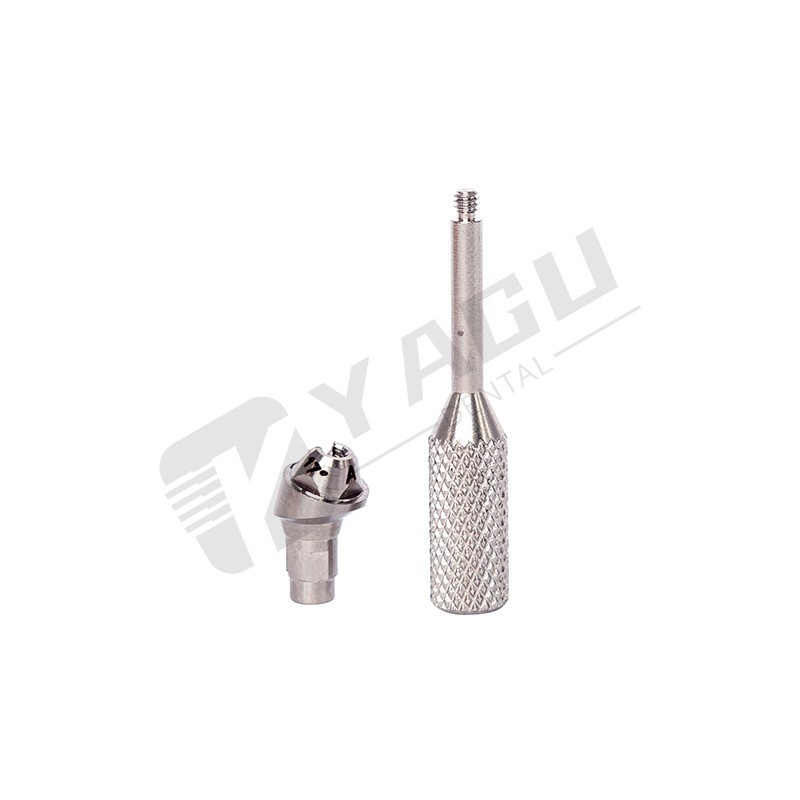multi abutment implant